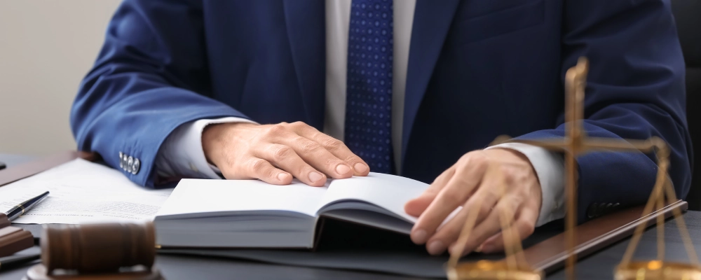 lawyer assisting with fractional immigration case managemen