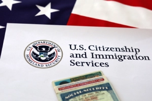 How Long Does a U Visa Take? Timeline and What to Expect