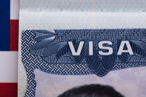 What Is a TN Visa? Complete Guide for Canadian and Mexican Professionals
